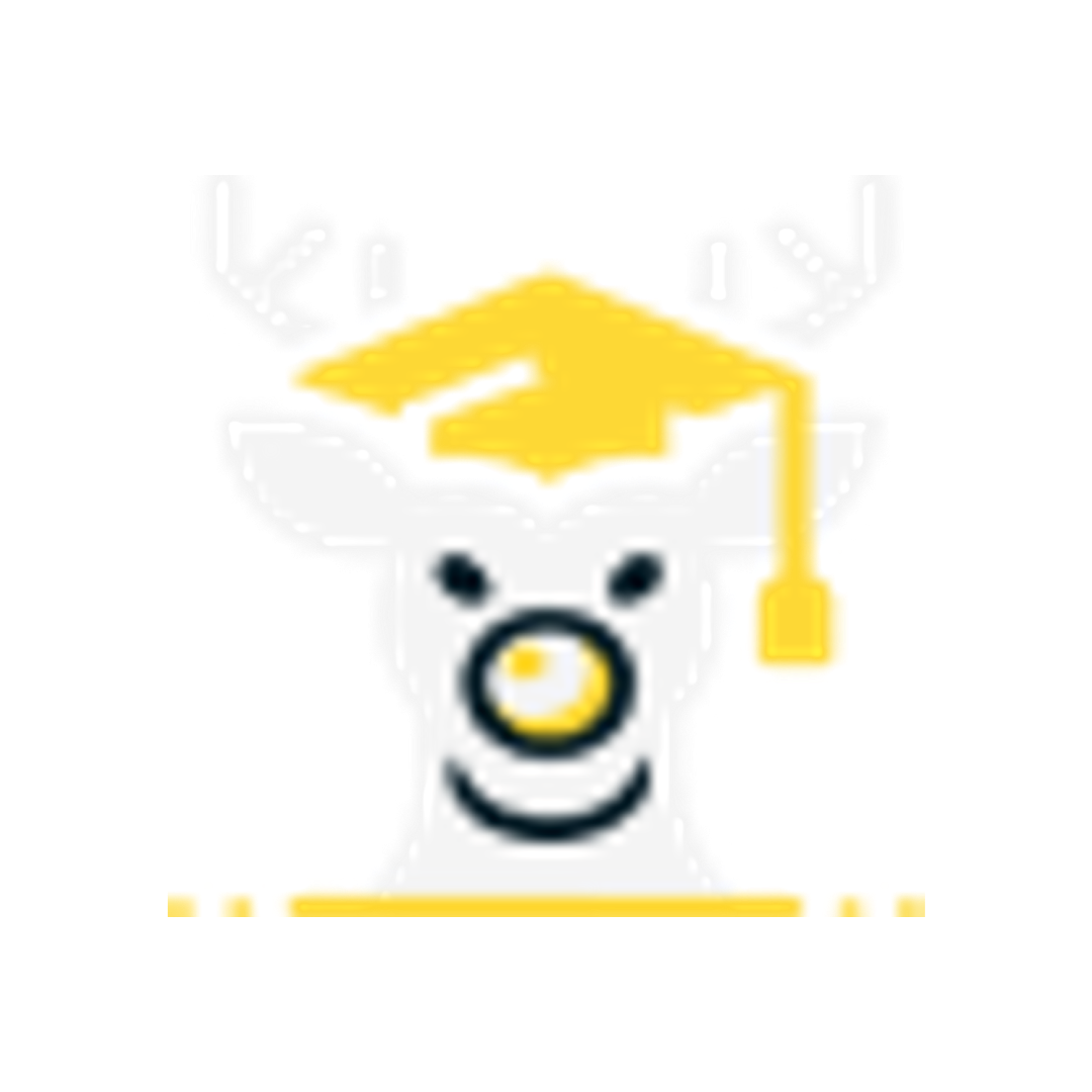 Rudolph company logo